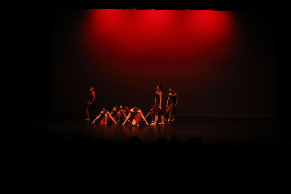 Keywords: Amy_B;Evelyn_C;Lauren_F;Abbie_K;Sydney_K;Erin_K;Brooklyn_M;Hailey_P;Adeline_S