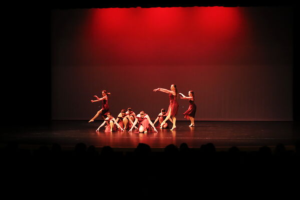 Keywords: Amy_B;Evelyn_C;Lauren_F;Abbie_K;Sydney_K;Erin_K;Brooklyn_M;Hailey_P;Adeline_S