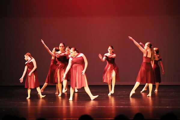 Keywords: Amy_B;Evelyn_C;Lauren_F;Abbie_K;Sydney_K;Erin_K;Brooklyn_M;Hailey_P;Adeline_S