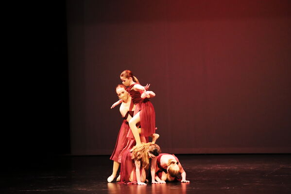 Keywords: Amy_B;Evelyn_C;Lauren_F;Abbie_K;Sydney_K;Erin_K;Brooklyn_M;Hailey_P;Adeline_S