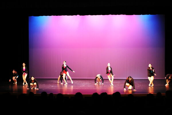 Keywords: Sofia_C;Elena_F;Payten_G;Abby_H;Lauren_H;Lola_H;Halie_J;Adela_J;Olivia_K;Ella_S