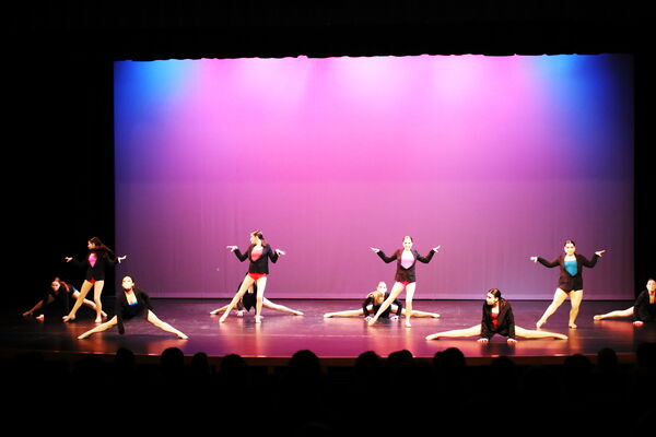 Keywords: Sofia_C;Elena_F;Payten_G;Abby_H;Lauren_H;Lola_H;Halie_J;Adela_J;Olivia_K;Ella_S