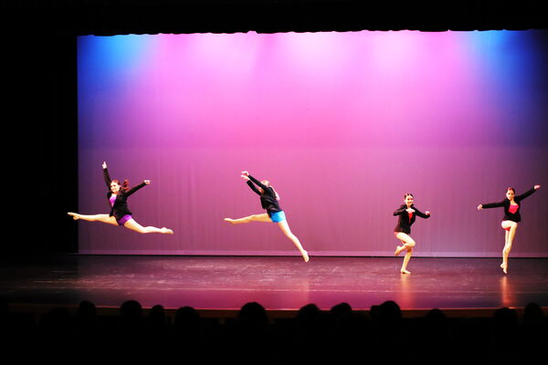 Keywords: Sofia_C;Elena_F;Payten_G;Abby_H;Lauren_H;Lola_H;Halie_J;Adela_J;Olivia_K;Ella_S