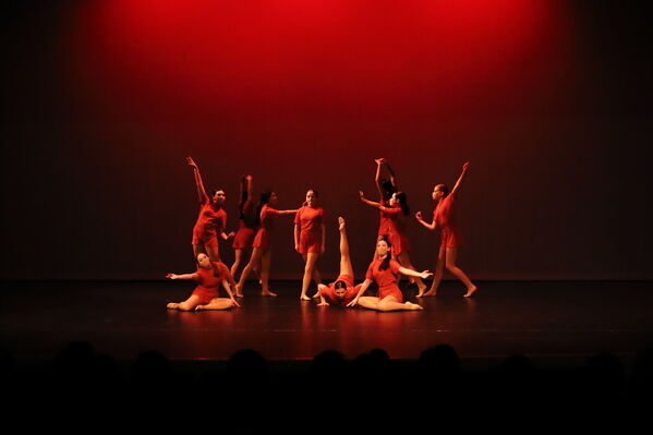 Keywords: Sofia_C;Elena_F;Payten_G;Abby_H;Lauren_H;Lola_H;Halie_J;Adela_J;Olivia_K;Ella_S