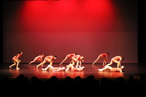 Keywords: Sofia_C;Elena_F;Payten_G;Abby_H;Lauren_H;Lola_H;Halie_J;Adela_J;Olivia_K;Ella_S