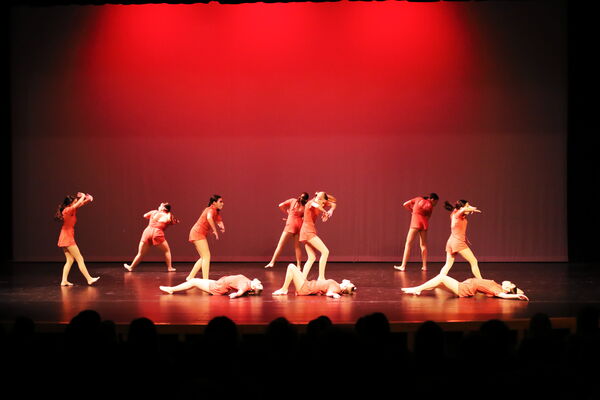 Keywords: Sofia_C;Elena_F;Payten_G;Abby_H;Lauren_H;Lola_H;Halie_J;Adela_J;Olivia_K;Ella_S