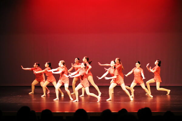 Keywords: Sofia_C;Elena_F;Payten_G;Abby_H;Lauren_H;Lola_H;Halie_J;Adela_J;Olivia_K;Ella_S