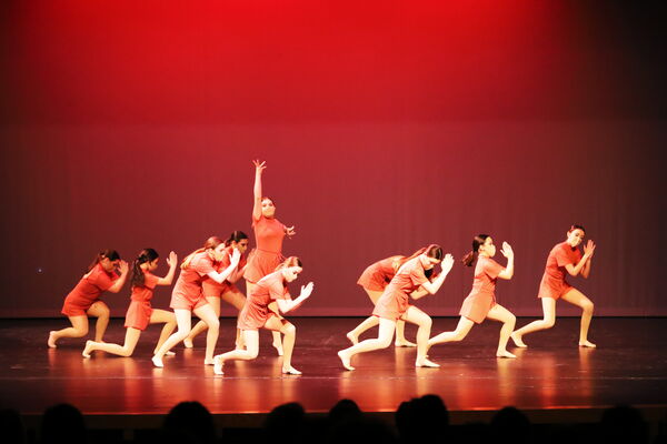 Keywords: Sofia_C;Elena_F;Payten_G;Abby_H;Lauren_H;Lola_H;Halie_J;Adela_J;Olivia_K;Ella_S