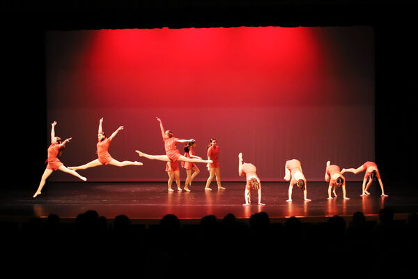 Keywords: Sofia_C;Elena_F;Payten_G;Abby_H;Lauren_H;Lola_H;Halie_J;Adela_J;Olivia_K;Ella_S