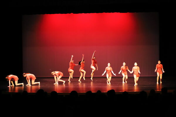 Keywords: Sofia_C;Elena_F;Payten_G;Abby_H;Lauren_H;Lola_H;Halie_J;Adela_J;Olivia_K;Ella_S