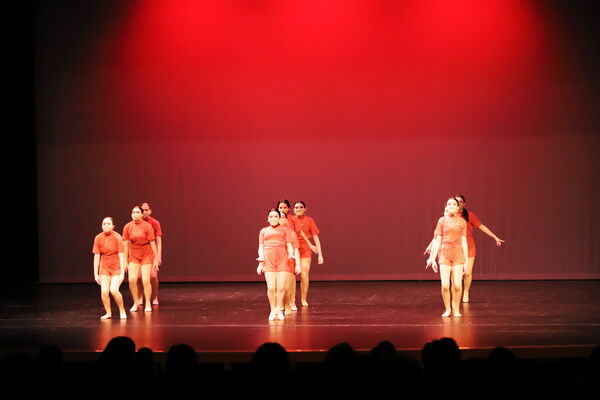 Keywords: Sofia_C;Elena_F;Payten_G;Abby_H;Lauren_H;Lola_H;Halie_J;Adela_J;Olivia_K;Ella_S