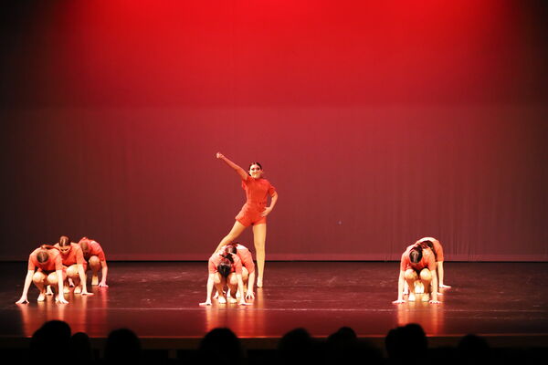 Keywords: Sofia_C;Elena_F;Payten_G;Abby_H;Lauren_H;Lola_H;Halie_J;Adela_J;Olivia_K;Ella_S