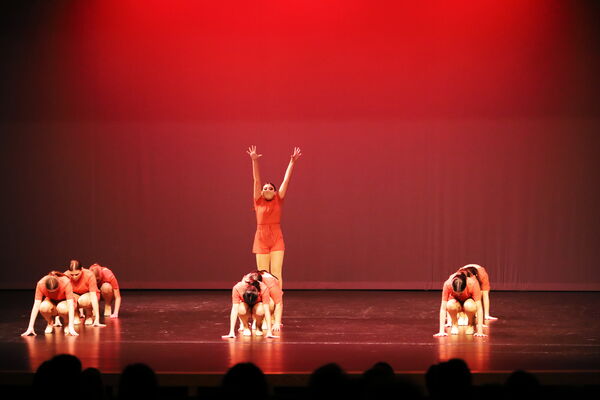 Keywords: Sofia_C;Elena_F;Payten_G;Abby_H;Lauren_H;Lola_H;Halie_J;Adela_J;Olivia_K;Ella_S