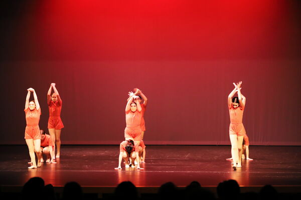 Keywords: Sofia_C;Elena_F;Payten_G;Abby_H;Lauren_H;Lola_H;Halie_J;Adela_J;Olivia_K;Ella_S