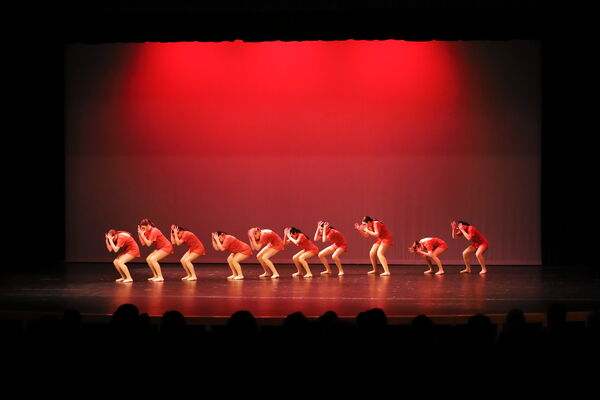 Keywords: Sofia_C;Elena_F;Payten_G;Abby_H;Lauren_H;Lola_H;Halie_J;Adela_J;Olivia_K;Ella_S