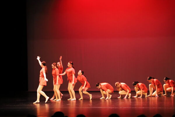 Keywords: Sofia_C;Elena_F;Payten_G;Abby_H;Lauren_H;Lola_H;Halie_J;Adela_J;Olivia_K;Ella_S