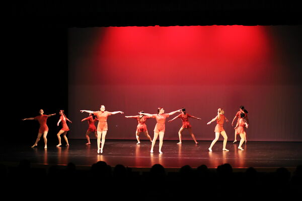 Keywords: Sofia_C;Elena_F;Payten_G;Abby_H;Lauren_H;Lola_H;Halie_J;Adela_J;Olivia_K;Ella_S