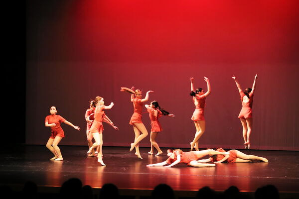 Keywords: Sofia_C;Elena_F;Payten_G;Abby_H;Lauren_H;Lola_H;Halie_J;Adela_J;Olivia_K;Ella_S