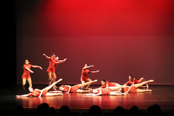 Keywords: Sofia_C;Elena_F;Payten_G;Abby_H;Lauren_H;Lola_H;Halie_J;Adela_J;Olivia_K;Ella_S