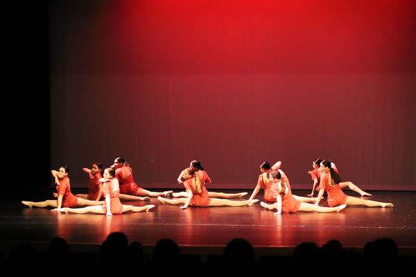 Keywords: Sofia_C;Elena_F;Payten_G;Abby_H;Lauren_H;Lola_H;Halie_J;Adela_J;Olivia_K;Ella_S