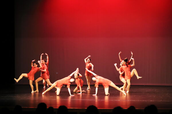 Keywords: Sofia_C;Elena_F;Payten_G;Abby_H;Lauren_H;Lola_H;Halie_J;Adela_J;Olivia_K;Ella_S