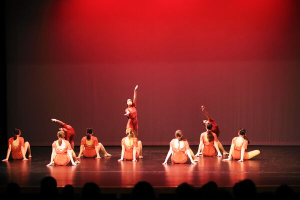 Keywords: Sofia_C;Elena_F;Payten_G;Abby_H;Lauren_H;Lola_H;Halie_J;Adela_J;Olivia_K;Ella_S