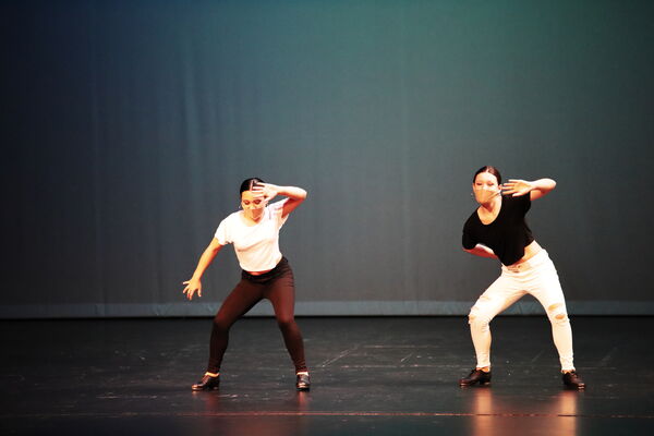 Keywords: Abby_H;Lauren_H