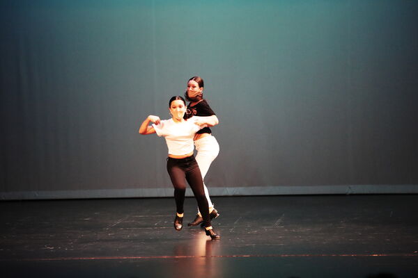 Keywords: Abby_H;Lauren_H