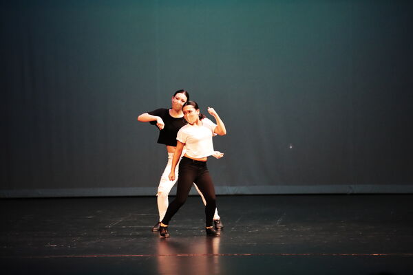 Keywords: Abby_H;Lauren_H