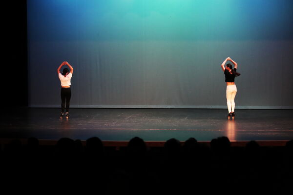 Keywords: Abby_H;Lauren_H