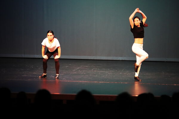 Keywords: Abby_H;Lauren_H