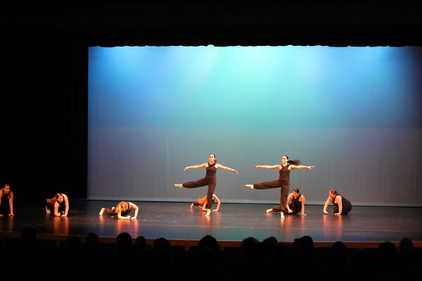 Keywords: Annabelle_I;Meghan_K;Jessica_M;Elizabeth_M;Kailey_P;Alex_P;Megan_R;Emma_S