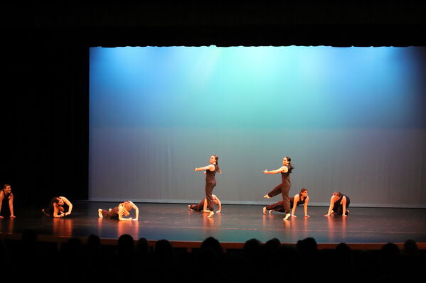 Keywords: Annabelle_I;Meghan_K;Jessica_M;Elizabeth_M;Kailey_P;Alex_P;Megan_R;Emma_S