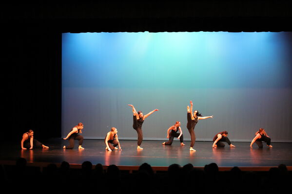 Keywords: Annabelle_I;Meghan_K;Jessica_M;Elizabeth_M;Kailey_P;Alex_P;Megan_R;Emma_S