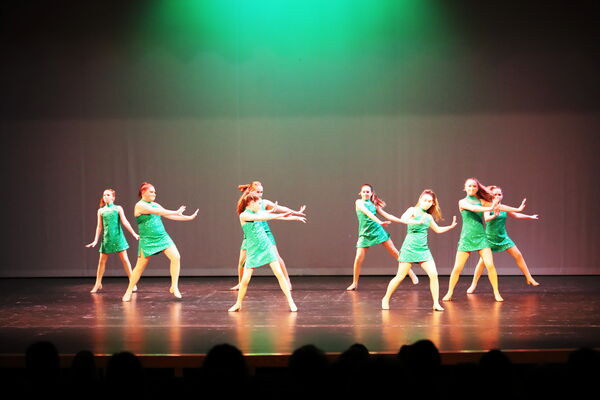 Keywords: Amy_B;Evelyn_C;Lauren_F;Abbie_K;Sydney_K;Erin_K;Brooklyn_M;Hailey_P;Adeline_S