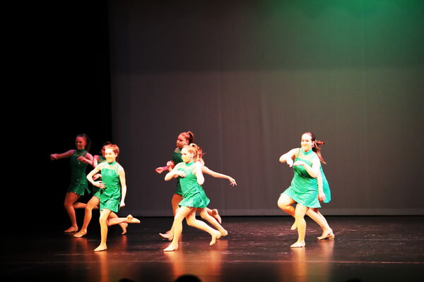 Keywords: Amy_B;Evelyn_C;Lauren_F;Abbie_K;Sydney_K;Erin_K;Brooklyn_M;Hailey_P;Adeline_S