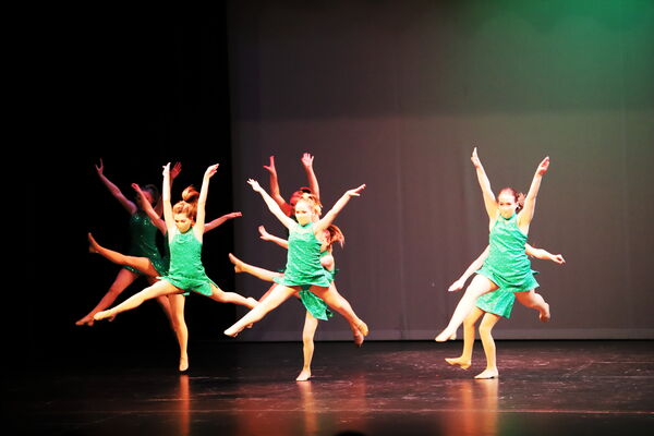 Keywords: Amy_B;Evelyn_C;Lauren_F;Abbie_K;Sydney_K;Erin_K;Brooklyn_M;Hailey_P;Adeline_S