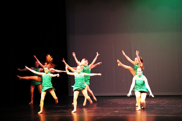 Keywords: Amy_B;Evelyn_C;Lauren_F;Abbie_K;Sydney_K;Erin_K;Brooklyn_M;Hailey_P;Adeline_S