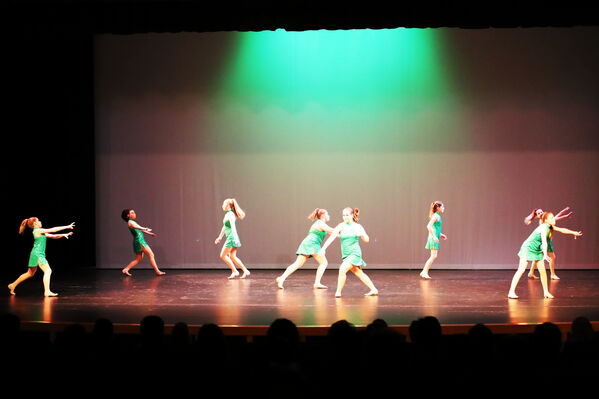 Keywords: Amy_B;Evelyn_C;Lauren_F;Abbie_K;Sydney_K;Erin_K;Brooklyn_M;Hailey_P;Adeline_S