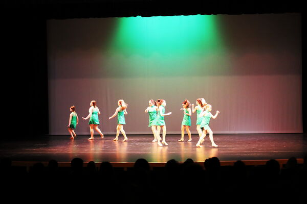 Keywords: Amy_B;Evelyn_C;Lauren_F;Abbie_K;Sydney_K;Erin_K;Brooklyn_M;Hailey_P;Adeline_S