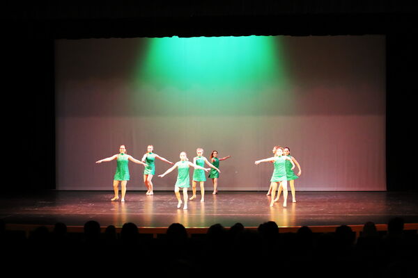 Keywords: Amy_B;Evelyn_C;Lauren_F;Abbie_K;Sydney_K;Erin_K;Brooklyn_M;Hailey_P;Adeline_S