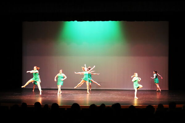 Keywords: Amy_B;Evelyn_C;Lauren_F;Abbie_K;Sydney_K;Erin_K;Brooklyn_M;Hailey_P;Adeline_S