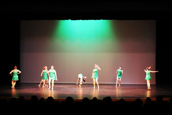 Keywords: Amy_B;Evelyn_C;Lauren_F;Abbie_K;Sydney_K;Erin_K;Brooklyn_M;Hailey_P;Adeline_S