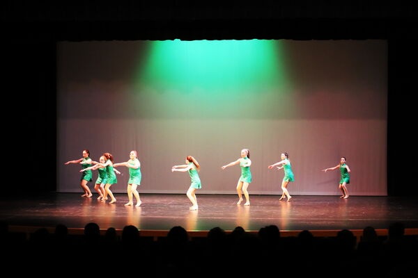 Keywords: Amy_B;Evelyn_C;Lauren_F;Abbie_K;Sydney_K;Erin_K;Brooklyn_M;Hailey_P;Adeline_S