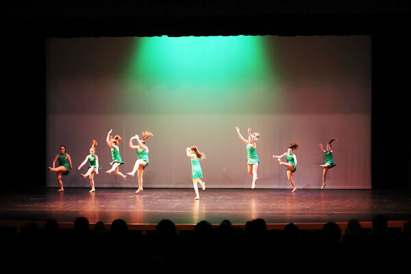 Keywords: Amy_B;Evelyn_C;Lauren_F;Abbie_K;Sydney_K;Erin_K;Brooklyn_M;Hailey_P;Adeline_S