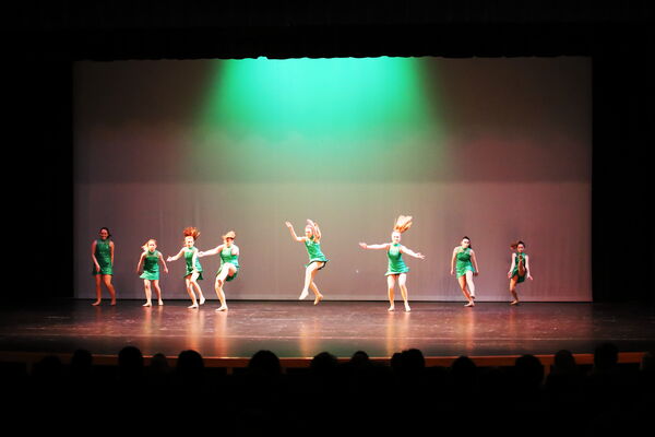 Keywords: Amy_B;Evelyn_C;Lauren_F;Abbie_K;Sydney_K;Erin_K;Brooklyn_M;Hailey_P;Adeline_S