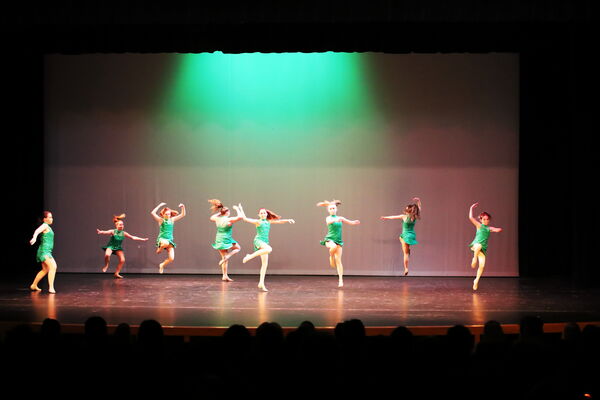 Keywords: Amy_B;Evelyn_C;Lauren_F;Abbie_K;Sydney_K;Erin_K;Brooklyn_M;Hailey_P;Adeline_S