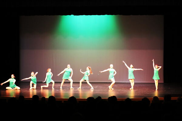 Keywords: Amy_B;Evelyn_C;Lauren_F;Abbie_K;Sydney_K;Erin_K;Brooklyn_M;Hailey_P;Adeline_S