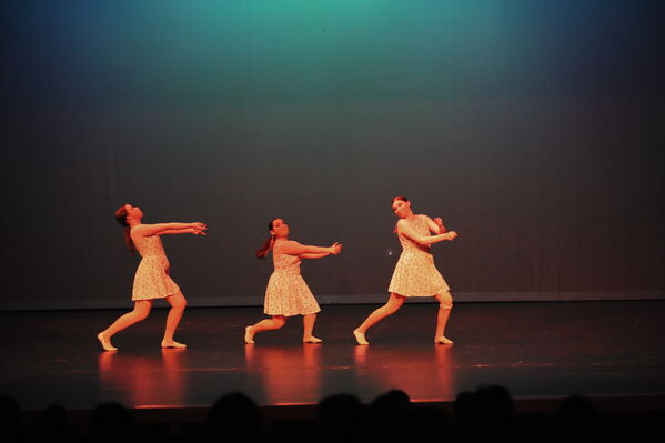 Keywords: Taylor_S;Sofia_C;Katelyn_L