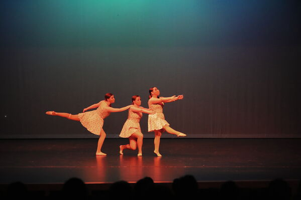 Keywords: Taylor_S;Sofia_C;Katelyn_L